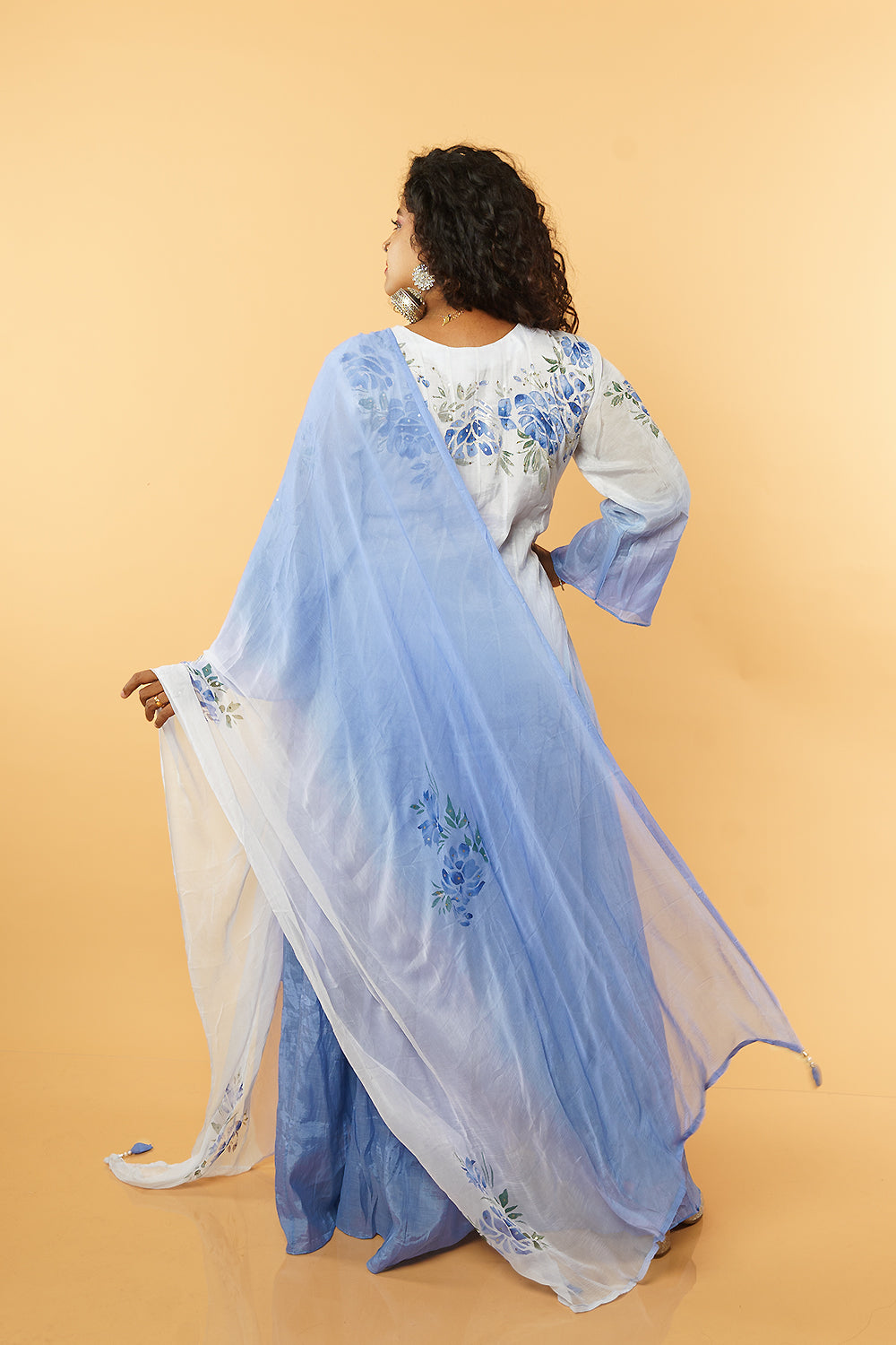 Ombre shadded Handpainted Mulchanderi Anarkali