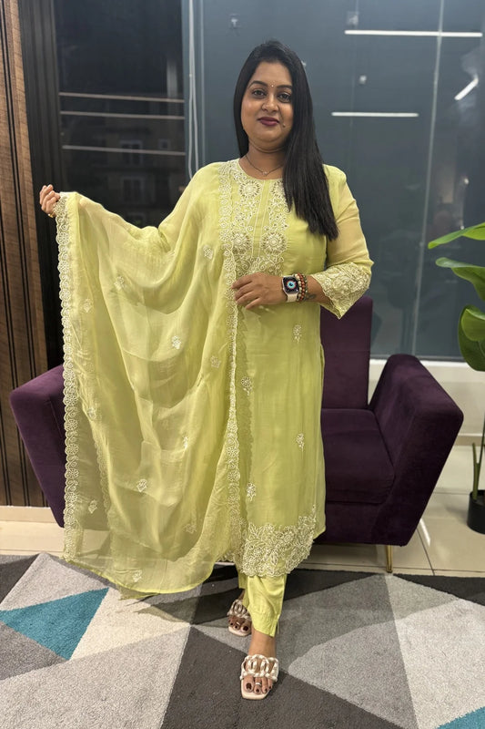 Pista Colour Viscose Organza Embroidery Article